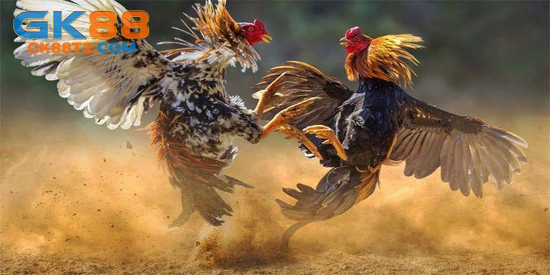 Vô vàn các đặc sản được nhiều hội viên ưa chuộng tham gia